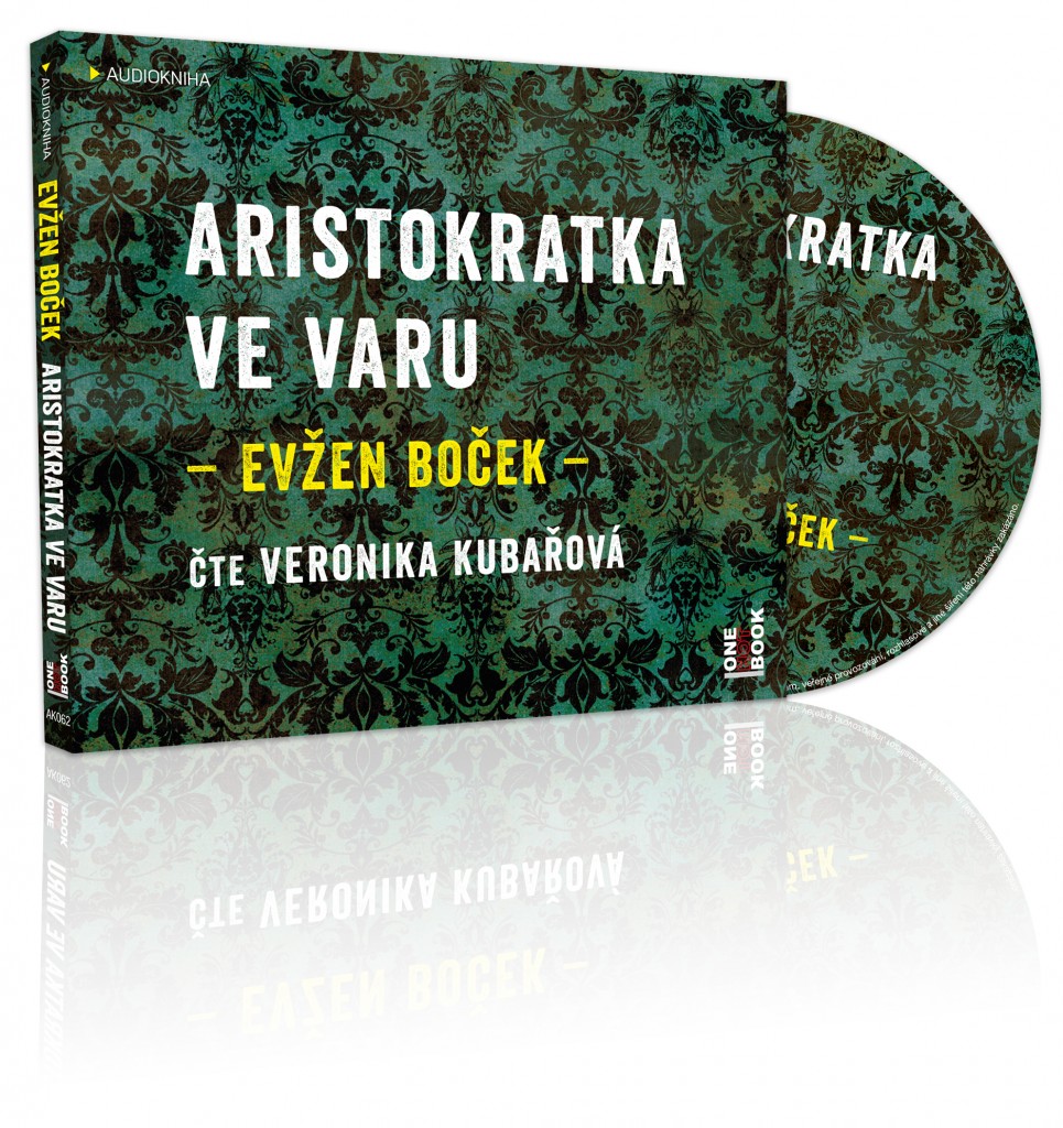 Aristokratka_ve_varu_3D_OneHotBook