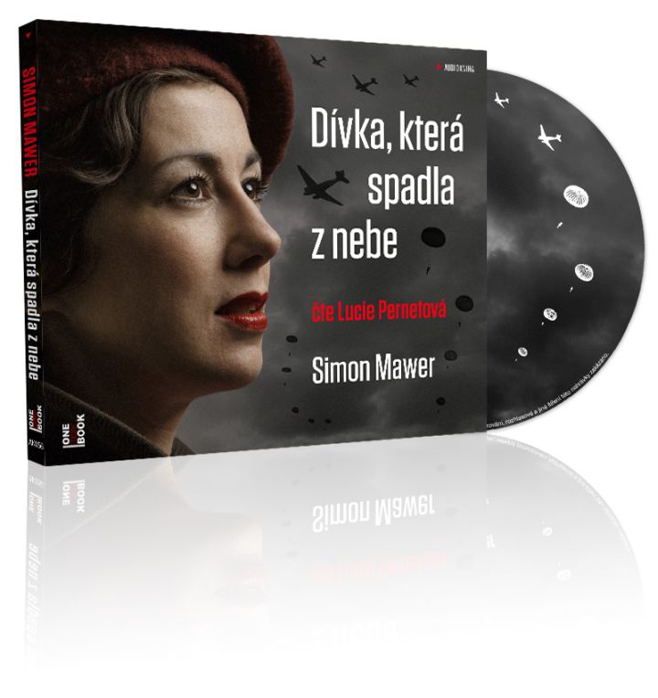 Simon_Mawer_Divka_ktera_spadla_z_nebe_audio_OneHotBook_3D